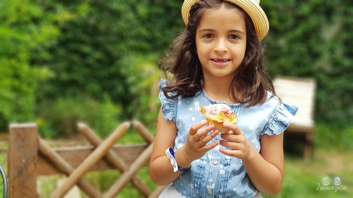 Rețetă de înghețată cu iaurt și căpșuni